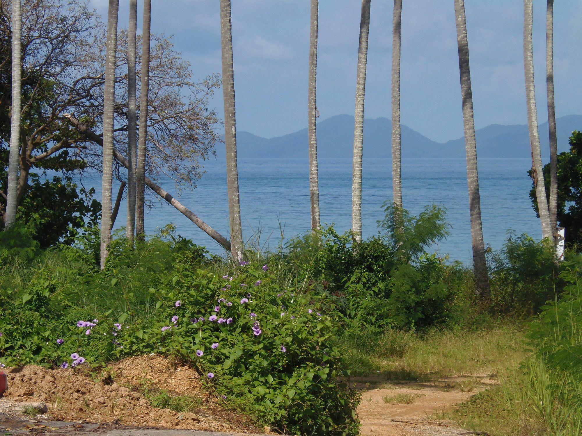 Elephants End Guesthouse Krabi Ao Nang Exterior foto